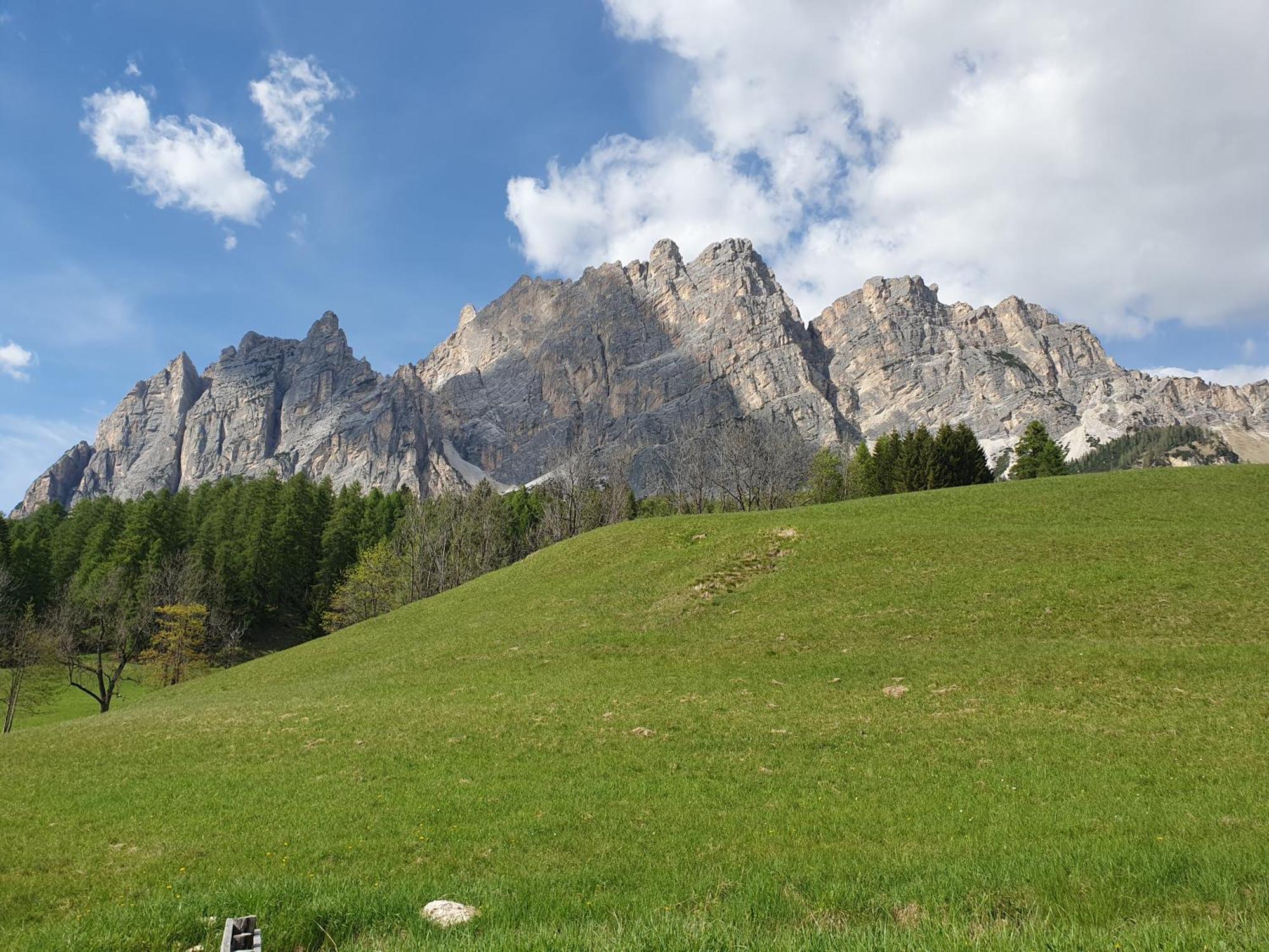 Daniela Apartment Cortina dʼAmpezzo Exteriör bild